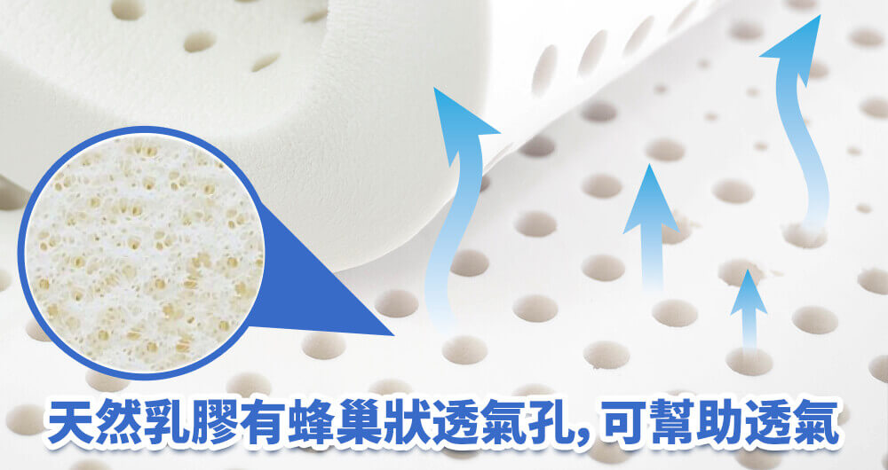 乳膠有天然透氣孔，可幫助散熱透氣